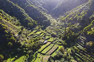 Prints of Terraced fields, Barranco del Cedro, near Hermigua, drone image, La Gomera, Canary Islands, Spain Aerial View Prints: La Gomera Terraced Fields Print, Canary Islands, Spain