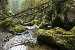 Southern Germany Nature Tourism Prints: Teufelskuche, Devil's Kitchen