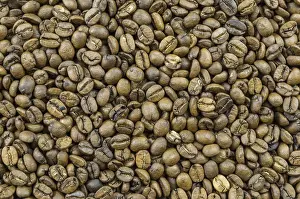 Raw Coffee Beans Prints: Texture, background of whole coffee beans, raw