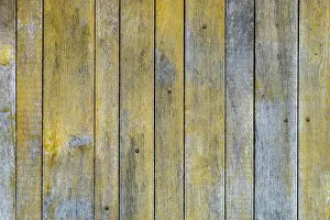 Wooden Plank Background Design Prints: Texture, background, plank wall