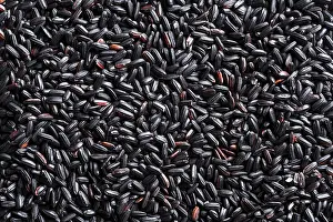 Vegan Diet Ingredient Prints: Texture black rice