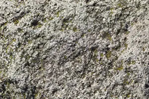 Mossy Boulder Prints: Texture of a boulder with moss and lichen