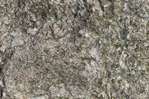 Deserted Rock Surface Prints: Texture of a boulder with moss and lichen