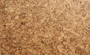 Decorative Wooden Plank Design Prints: Texture of cork flooring, close up