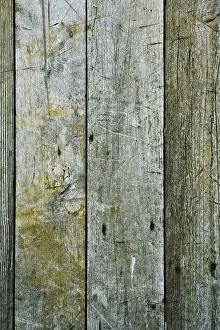 Close Up Detail Prints: Texture of gray boards