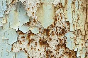 Textured Surface Prints: Texture, metal with flaking paint, rust