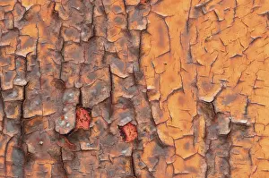 Rusty Metal Texture Prints: Texture, metal with flaking paint, rust