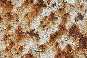 Deserted Full Frame Image Prints: Texture, metal with paint, rust