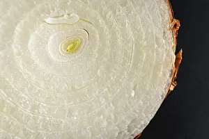 Allioideae Flowering Plants Prints: Texture detail of an onion cut in half
