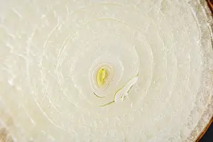 Allioideae Flowering Plants Prints: Texture detail of an onion cut in half