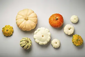 Thanksgiving Food Photography Prints: Thanksgiving or fall composition with different assorted pumpkins on light gray background top view