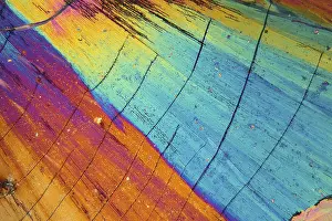 Prints of Thulium is a rare earth element. The crystals are precipitated from a solution on a microscope slide and photographed in polarized light Polarized Light Prints: Thulium Crystals Print in Polarized Light