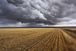 Cloudy Atmosphere Photography Prints: Thunderclouds above fields after harvesting