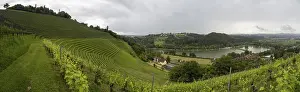 Images Dated 30th May 2024: Thunderclouds over Vineyard Print, Sulmsee, Styria, Austria
