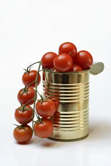 Single Colored Backgrounds Prints: Tinned tomatoes, cherry tomatoes