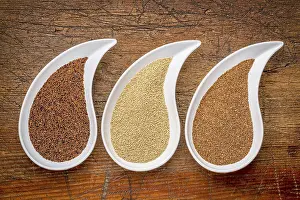 Amaranthaceae Plant Prints: Three tiny gluten free grains - kaniwa