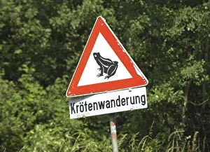 Toad Migration Prints: Toad migration or frog migration