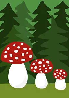 Poisonous Mushrooms In Europe Prints: Toadstools in front of fir tree