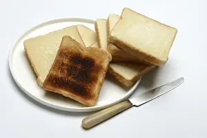 Bread Nutrition Facts Prints: Toasted slice of bread, toast