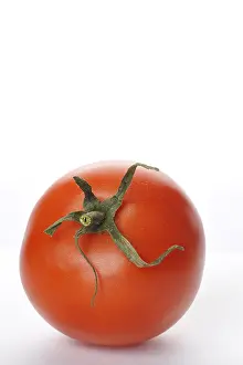 Botany Still Life Photos Prints: Tomato