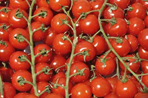 Deserted Grocery Store Prints: Tomato