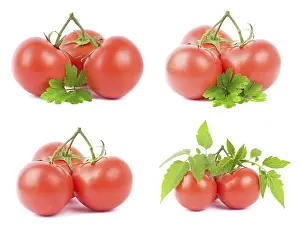 Studio Shot Vegetable Prints: Tomato