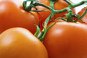 Vegetable Photography Prints: Tomato background