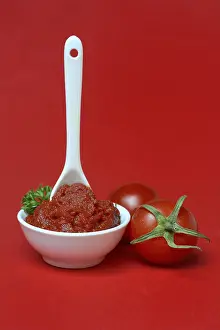 Tomato Paste Prints: Tomato paste with spoon in bowl