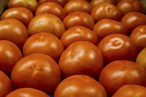 High Angle View Photography Prints: Tomatoes