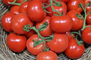Symbolic Tomato Picture Prints: Tomatoes