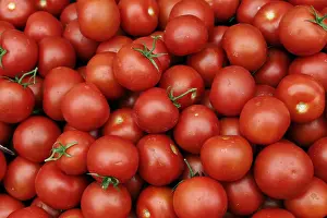 Tomato Nutrition Prints: Tomatoes