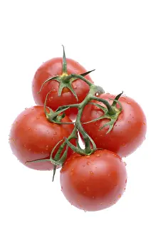 Red Fruits Prints: Tomatoes