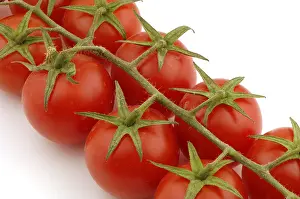 Red Vegetable Prints: Tomatoes