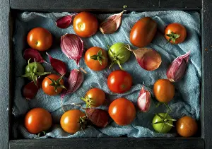 Fresh Vegetables Prints: Tomatoes on the background. Tomatoes
