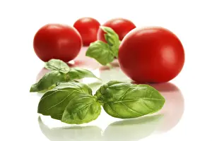 Kitchen Herb Photography Prints: Tomatoes and basil