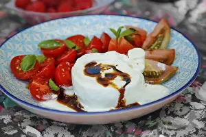 Caprese Salad Prints: Tomatoes with basil and buffalo mozzarella