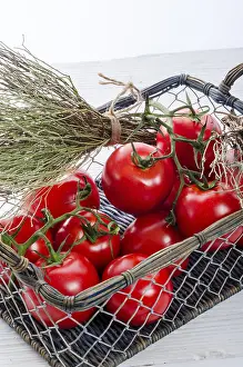 Wicker Basket Prints: Tomatoes in the basket