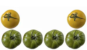 Tomato Food Photography Prints: Tomatoes, cropped with text space