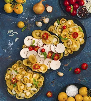 Studio Background Shots Prints: Tomatoes in different variations
