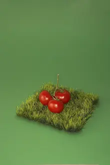 Grocery Store Produce Images Prints: Tomatoes on a piece of Grass
