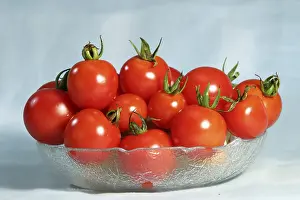 Fruit Vegetable Images Prints: Tomatos