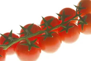 Vitamin Rich Tomatoes Prints: Tomatos
