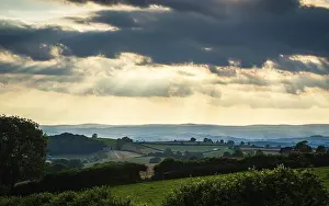 Devon Countryside Prints: Torquay Fields in the rays of the setting sun