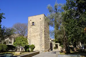 Southern Europe Prints: Torre Desbrull, Pollenca, Majorca