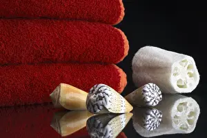 Conch Prints: Towels with Shells and Sponge Print