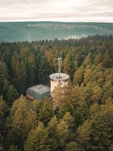 Schwarzwald Landscape Photo Prints: A tower rises out of a dense forest