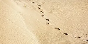 No People Desert Landscape Prints: Traces in the sand, structures on a sand dune
