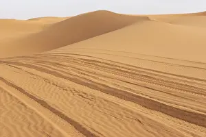 Desert Landscape Prints: Tracks in sand