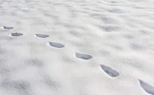 Snowy Footprints Prints: Tracks in the snow