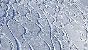 Winter Sports Landscape Prints: Tracks in the snow